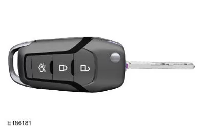 Sender mit integriertem Funkschlüssel (falls vorhanden)