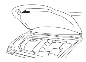 Angaben für Abgasreinigungssystem (Philippinen)